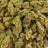Golden Ticket bulk THCA flower — Plain Jane 1 lb