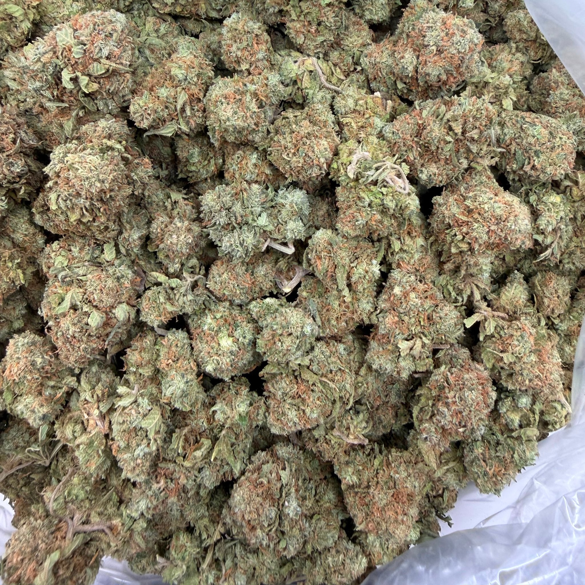 Gorilla Glue bulk THCA flower — Plain Jane 1 lb