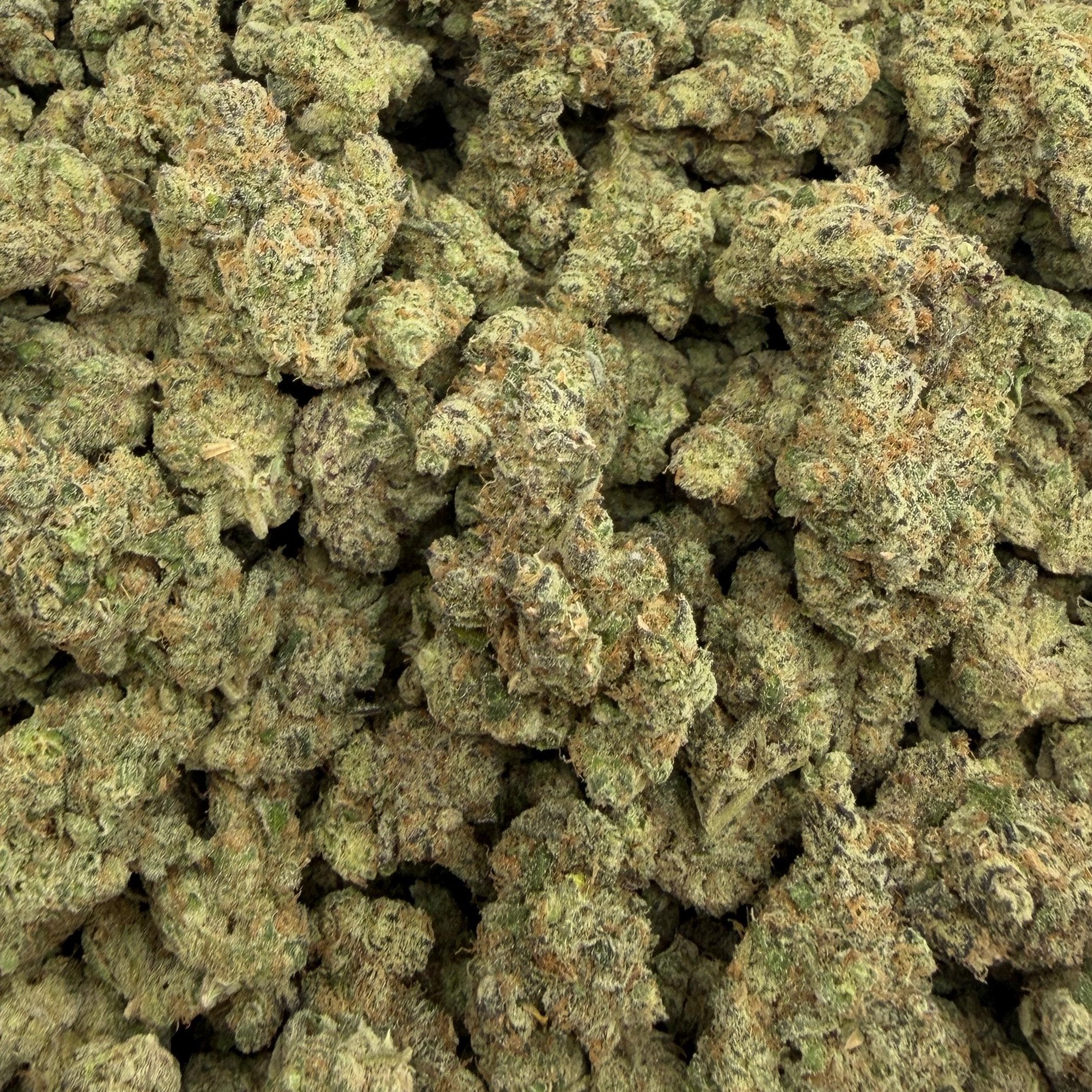 Gorilla Glue bulk THCA flower — Plain Jane 1 lb