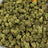 Goverment Oasis bulk THCA flower — Plain Jane 1 lb