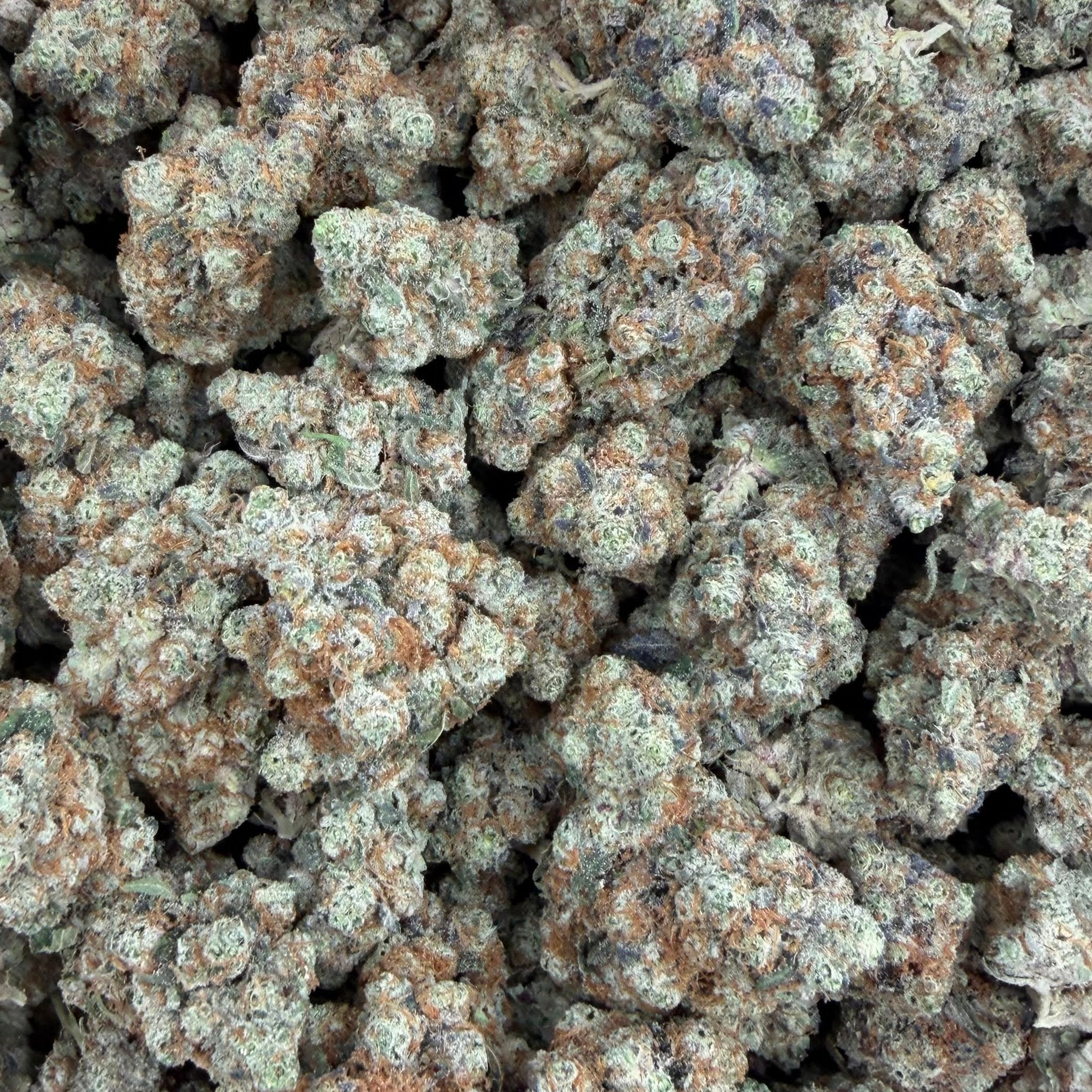 Grape Cream Cake bulk THCA flower — Plain Jane 1 lb