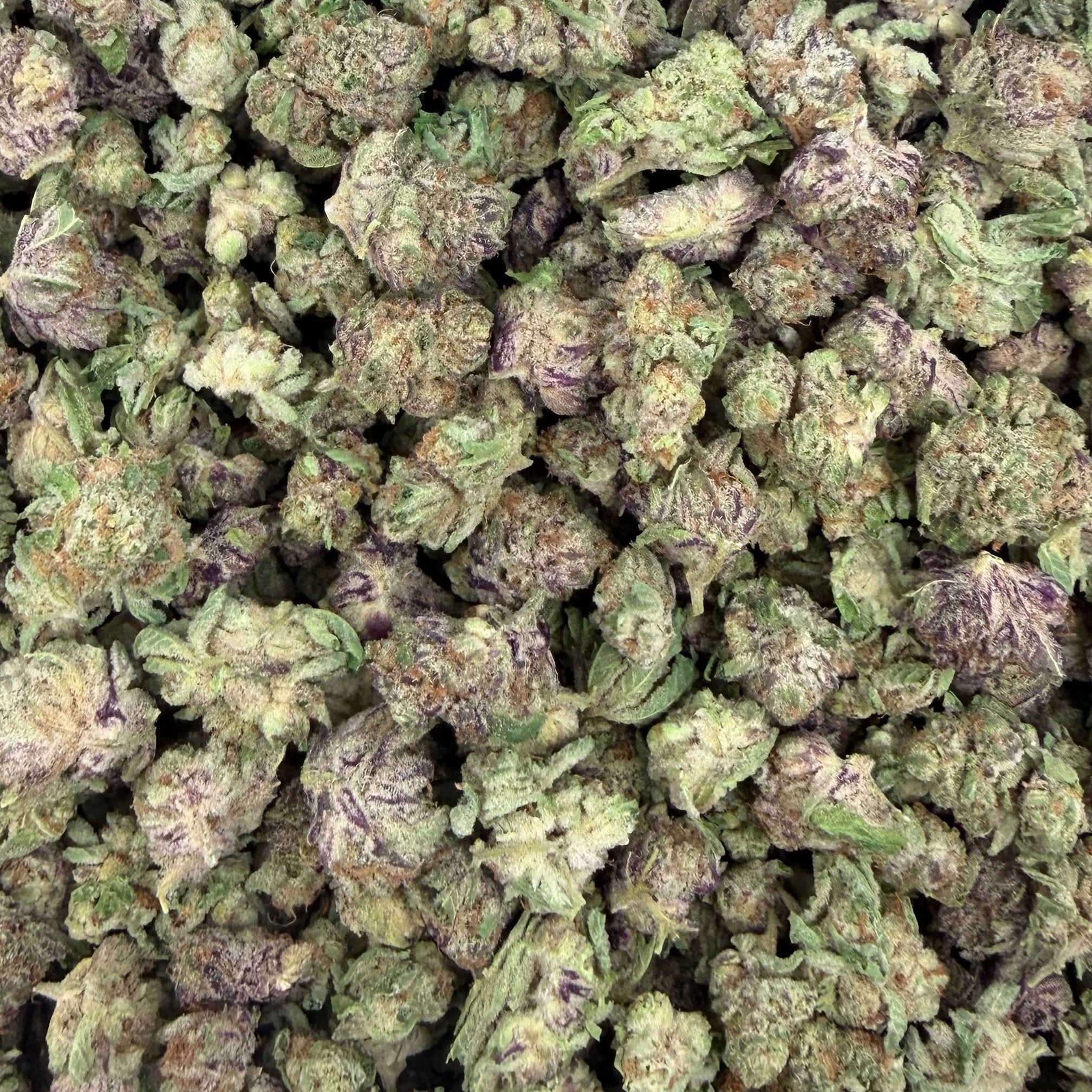 Grape Cream Cake bulk THCA flower — Plain Jane 1 lb