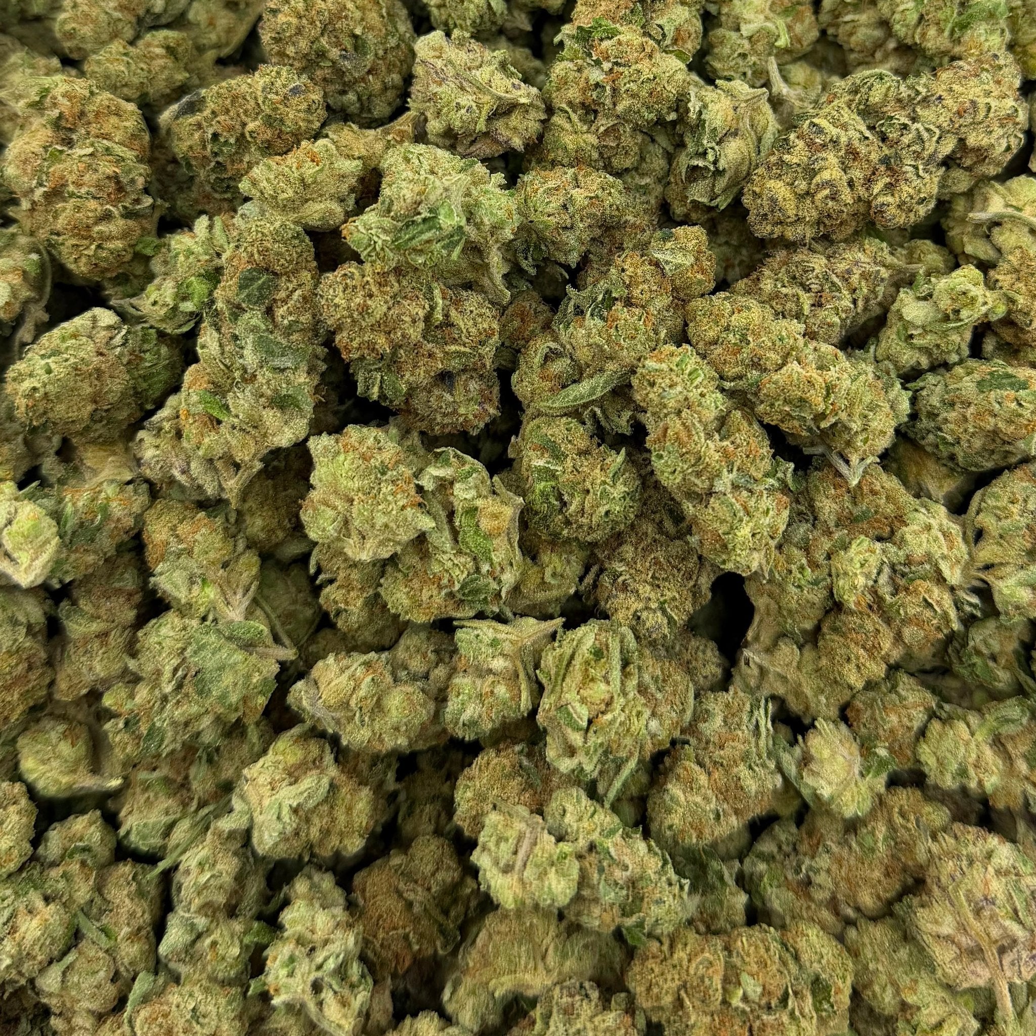 Grape Cream Cake bulk THCA flower — Plain Jane 1 lb
