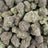 Grape Cream Cake bulk THCA flower — Plain Jane 1 lb