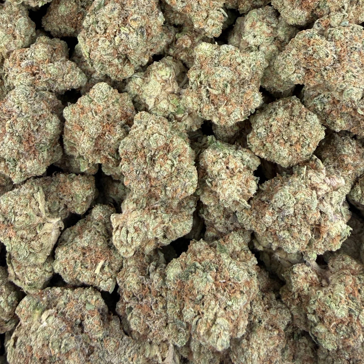 Grape Creamsicle bulk THCA flower — Plain Jane 1 lb