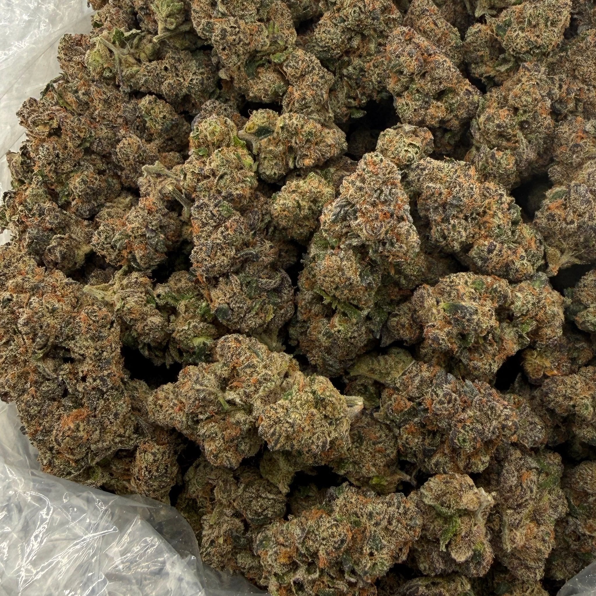 Grape Gas bulk THCA flower — Plain Jane 1 lb
