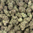 Grape Gas Mask bulk THCA flower — Plain Jane 1 lb