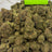 Grape Head bulk THCA flower — Plain Jane 1 lb