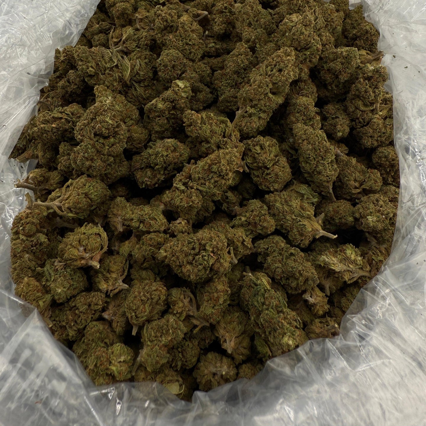 Grape Soda bulk THCA flower — Plain Jane 1 lb