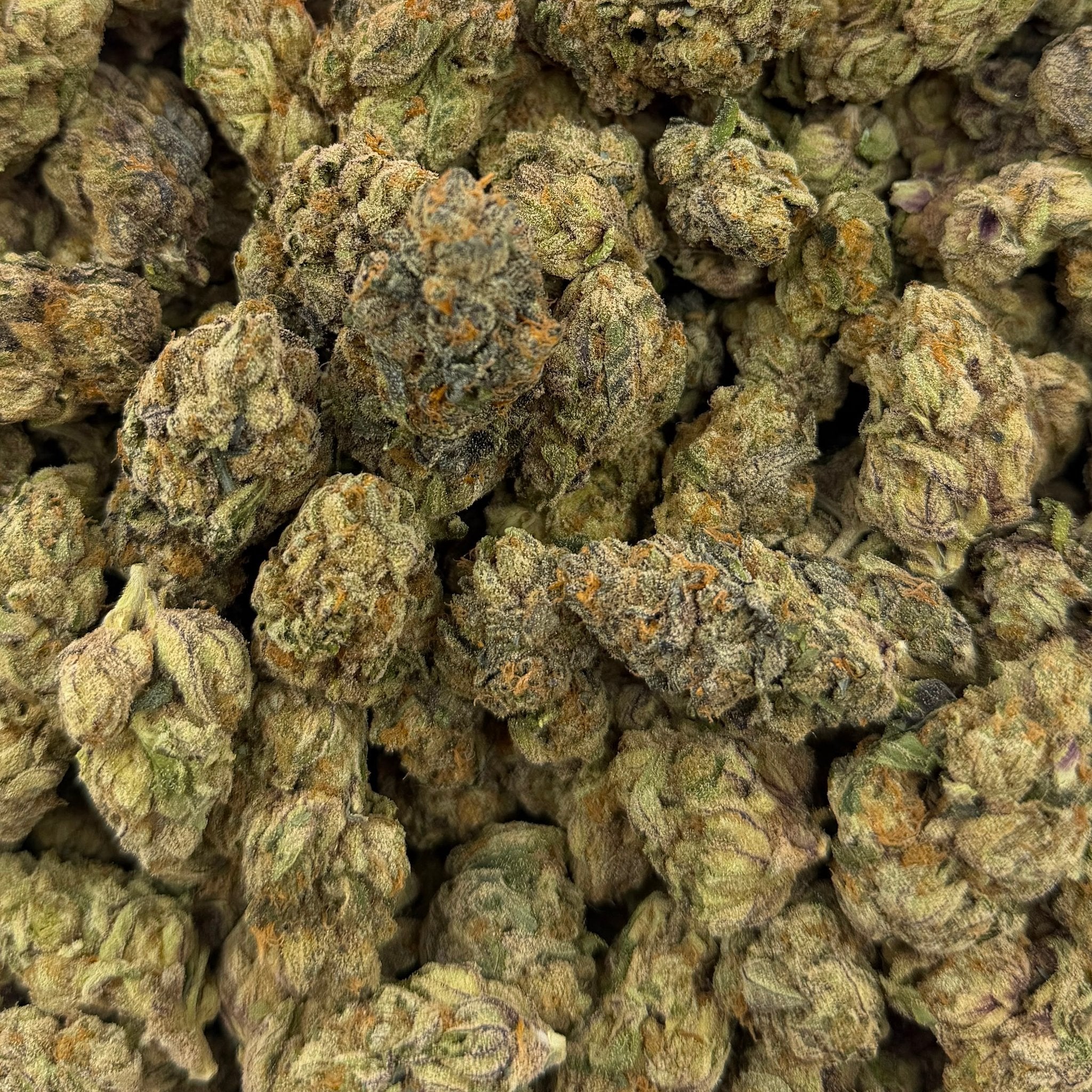 Grape Soda bulk THCA flower — Plain Jane 1 lb