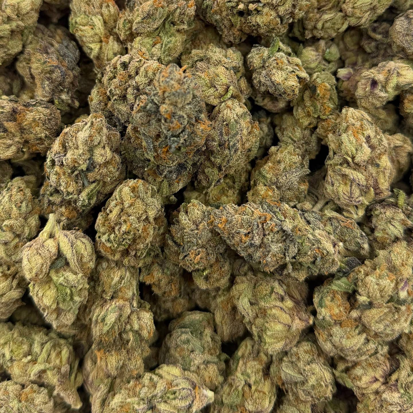 Grape Soda bulk THCA flower — Plain Jane 1 lb