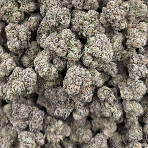 Grape Spritzer bulk THCA flower — Plain Jane 1 lb