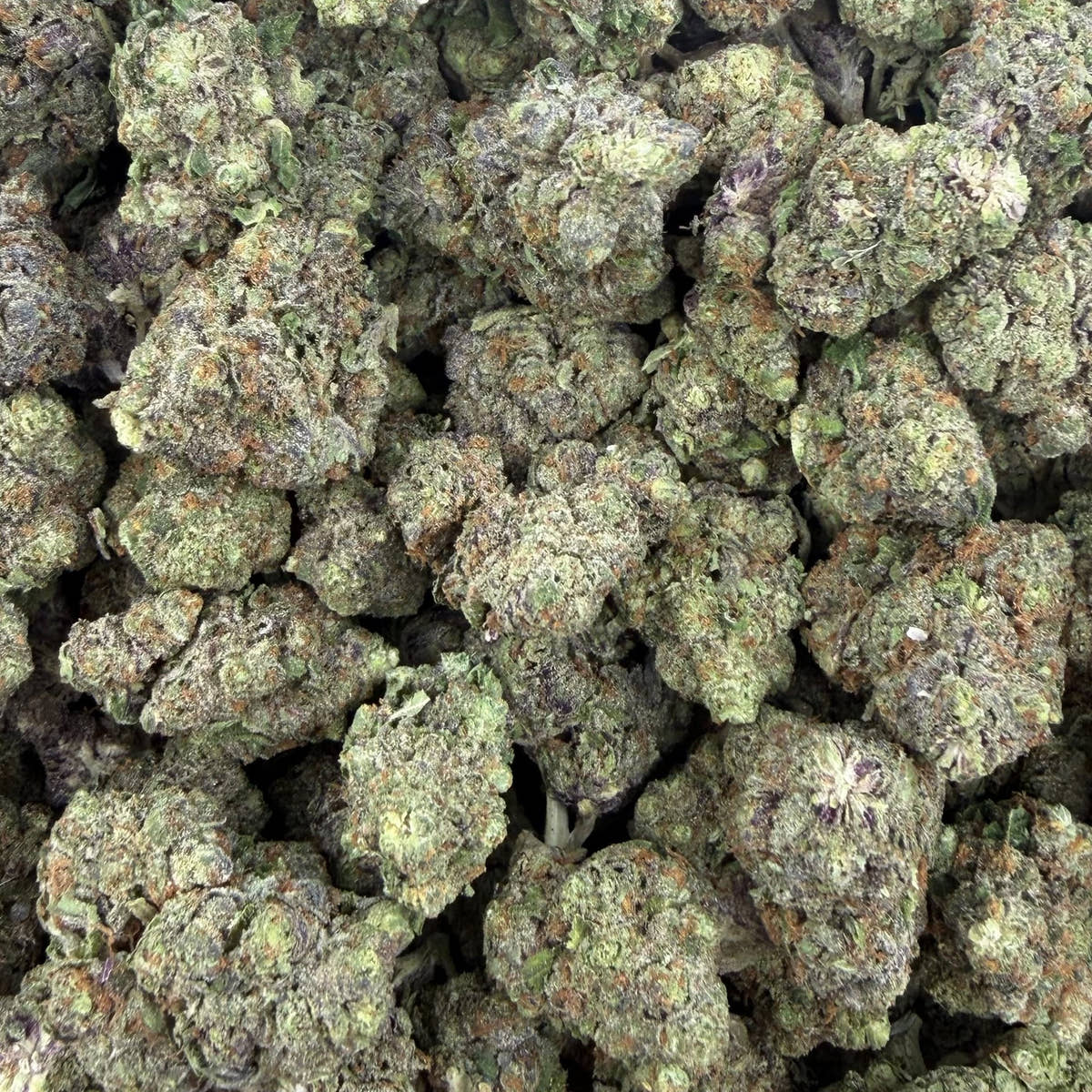 Grape Stomper bulk THCA flower — Plain Jane 1 lb
