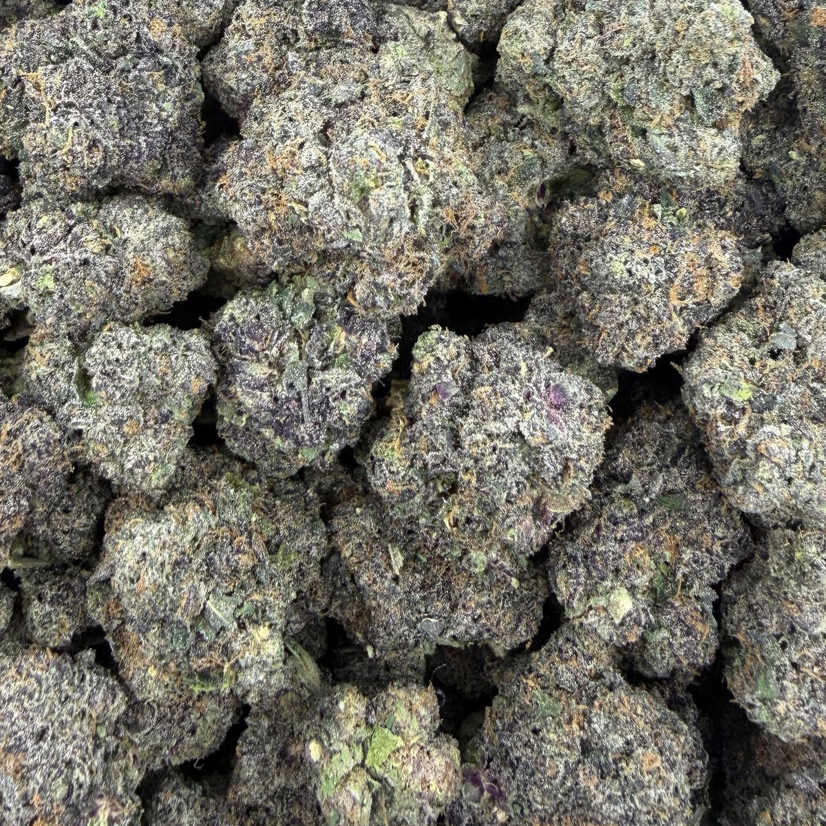 Grape Stomper bulk THCA flower — Plain Jane 1 lb
