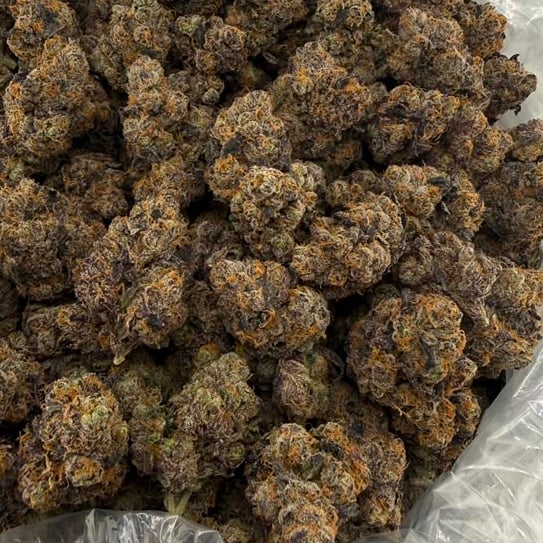 Grapefruit Diesel bulk THCA flower — Plain Jane 1 lb