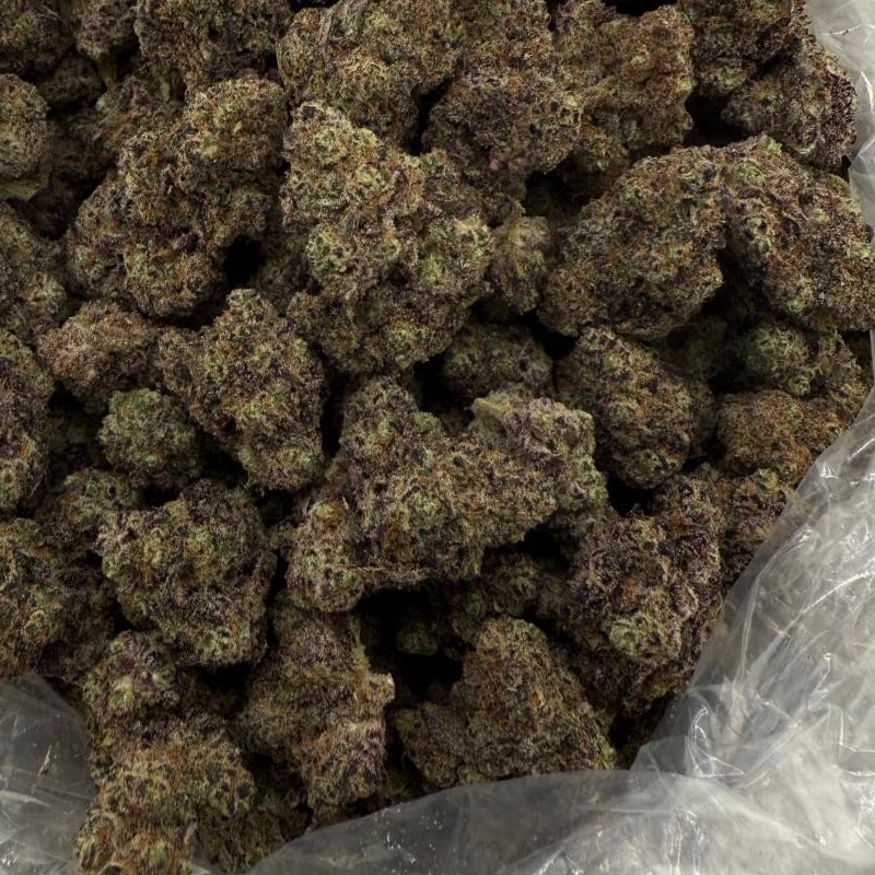 Grapefruit Diesel bulk THCA flower — Plain Jane 1 lb