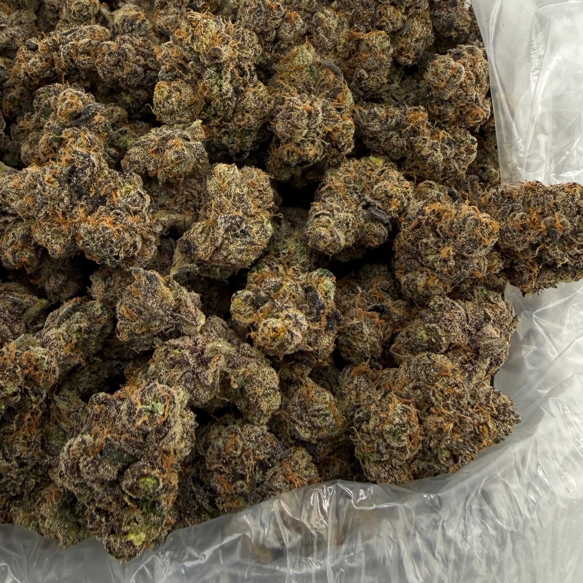 Grapefruit Diesel bulk THCA flower — Plain Jane 1 lb