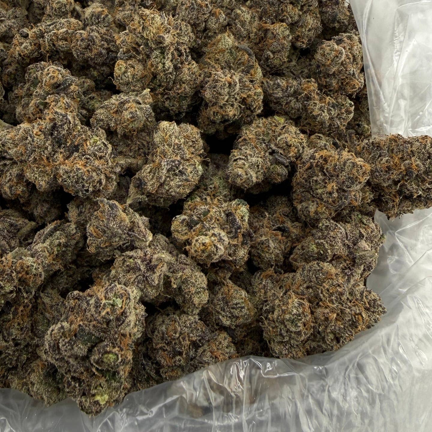 Grapefruit Diesel bulk THCA flower — Plain Jane 1 lb
