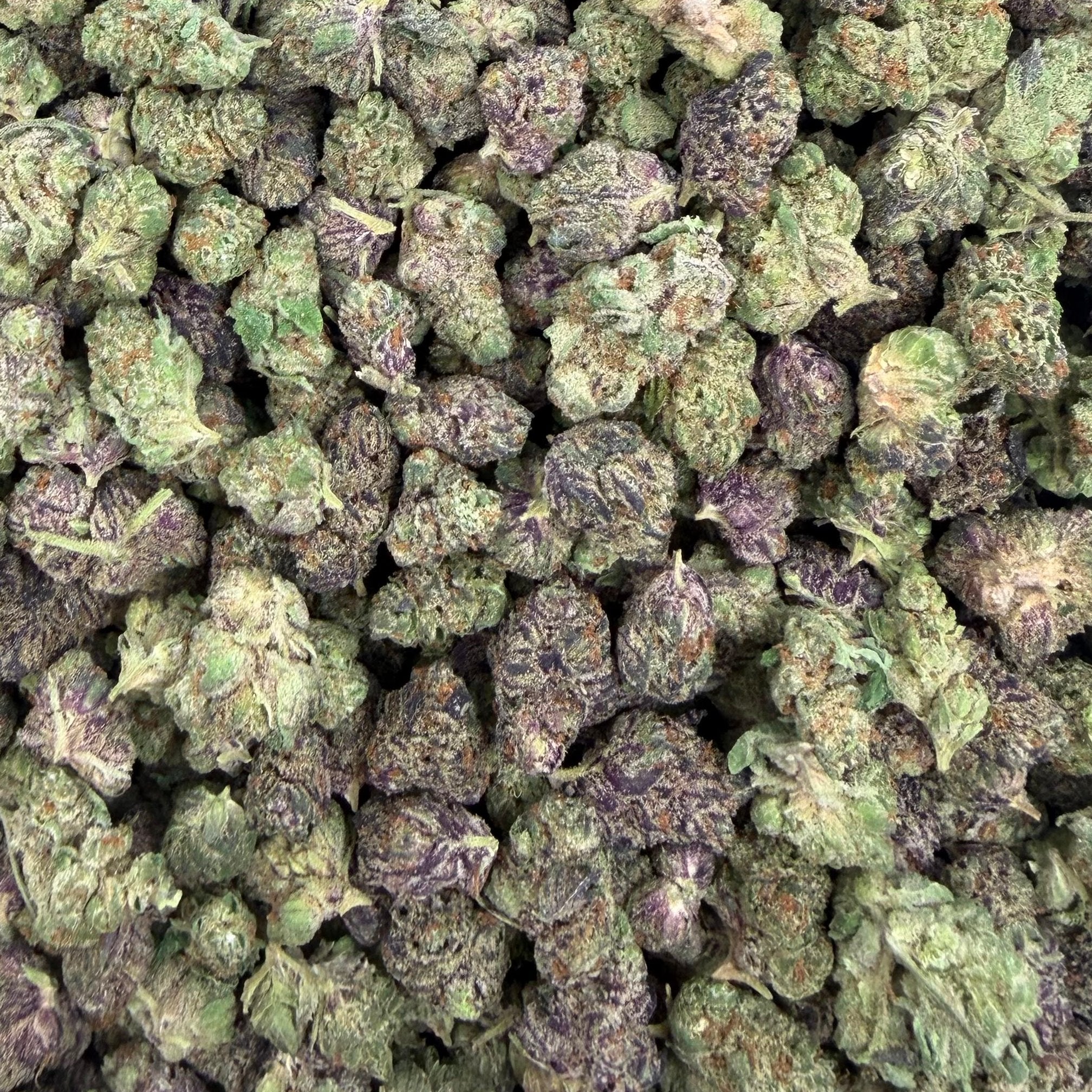 Grapefruit Diesel bulk THCA flower — Plain Jane 1 lb