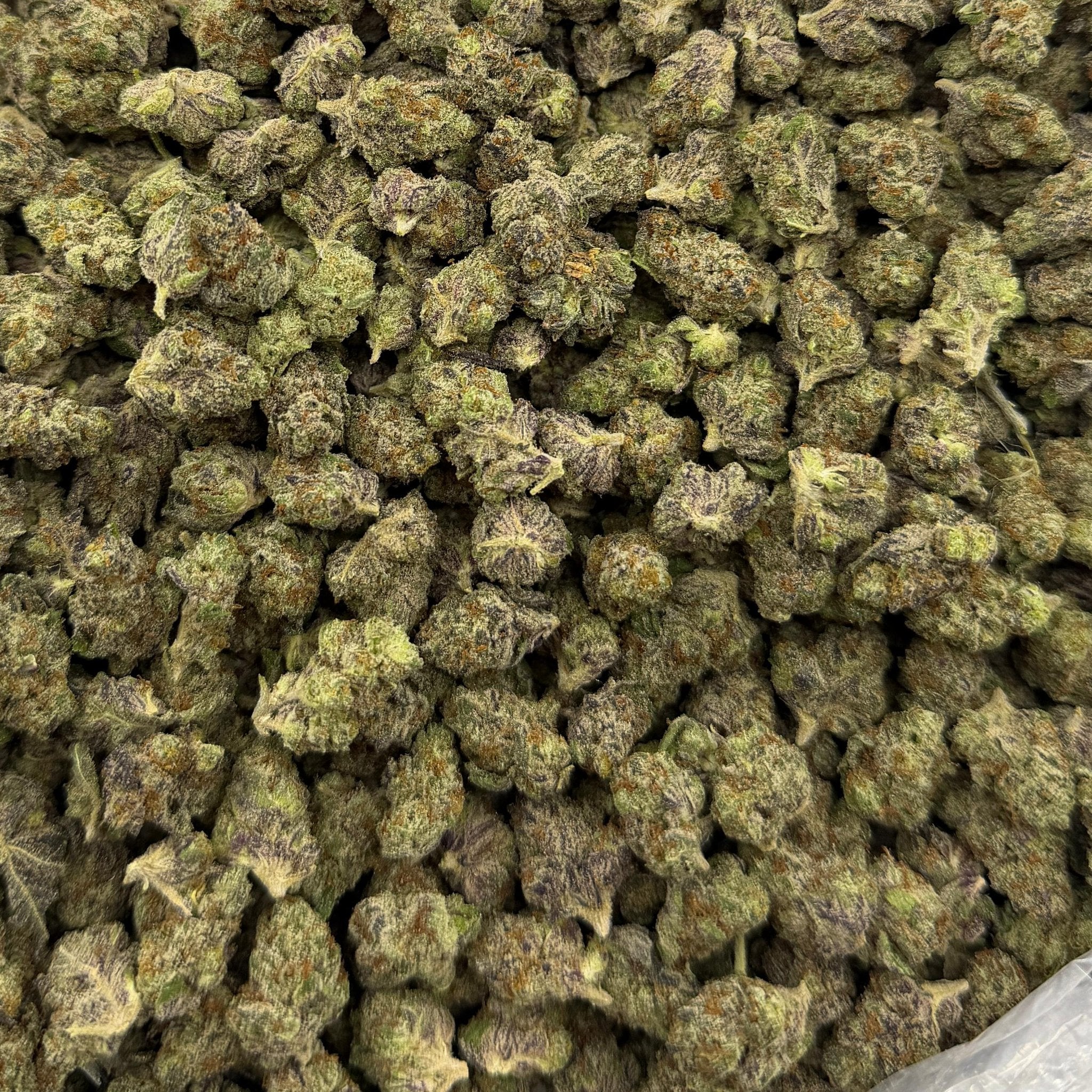 Grapefruit Diesel bulk THCA flower — Plain Jane 1 lb