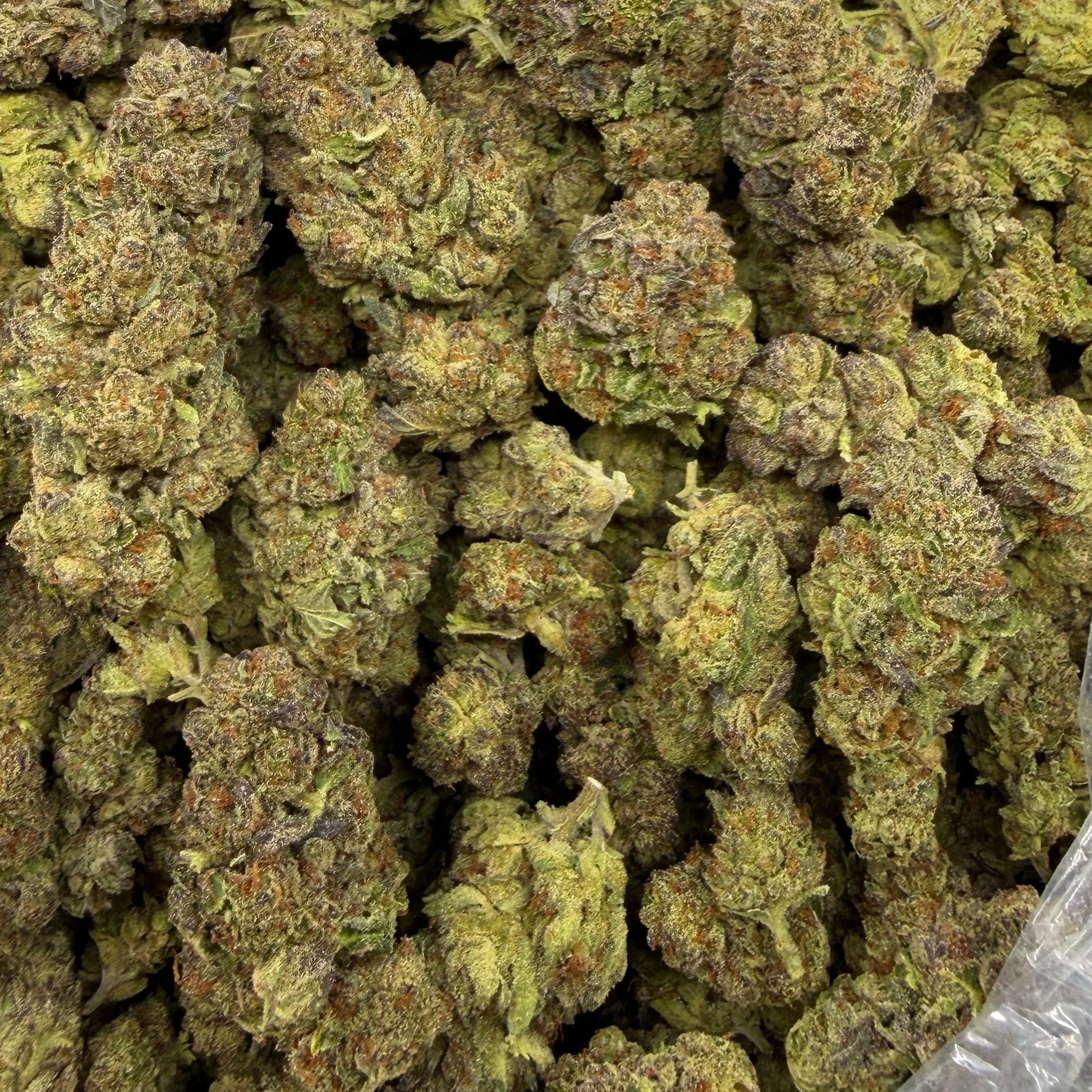 Green Gelato bulk THCA flower — Plain Jane 1 lb