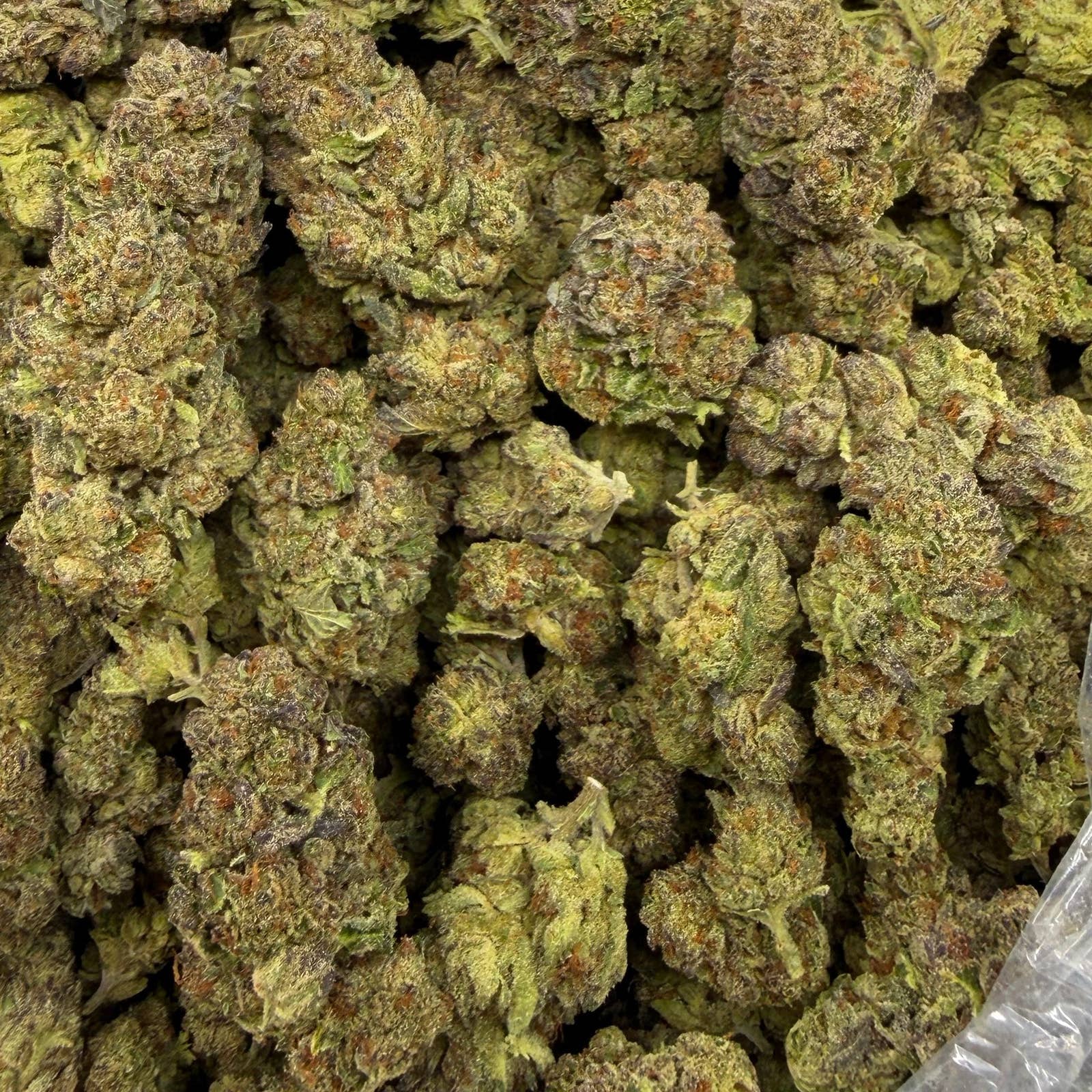 Green Gelato bulk THCA flower — Plain Jane 1 lb