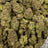 Green Gelato bulk THCA flower — Plain Jane 1 lb