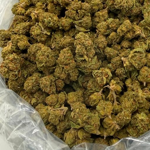 Gsc bulk THCA flower — Plain Jane 1 lb