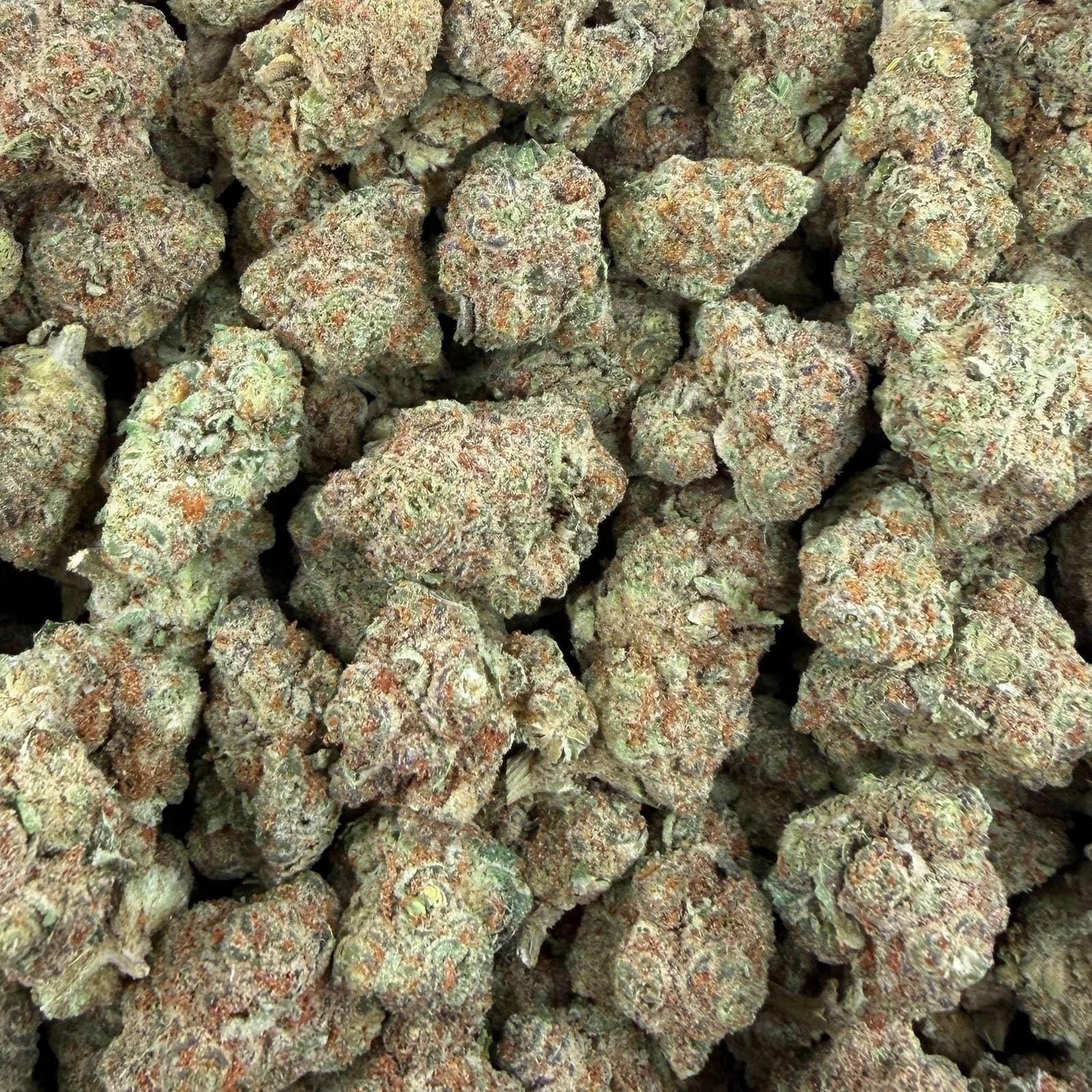 GSC bulk THCA flower — Plain Jane 1 lb