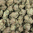 GSC bulk THCA flower — Plain Jane 1 lb