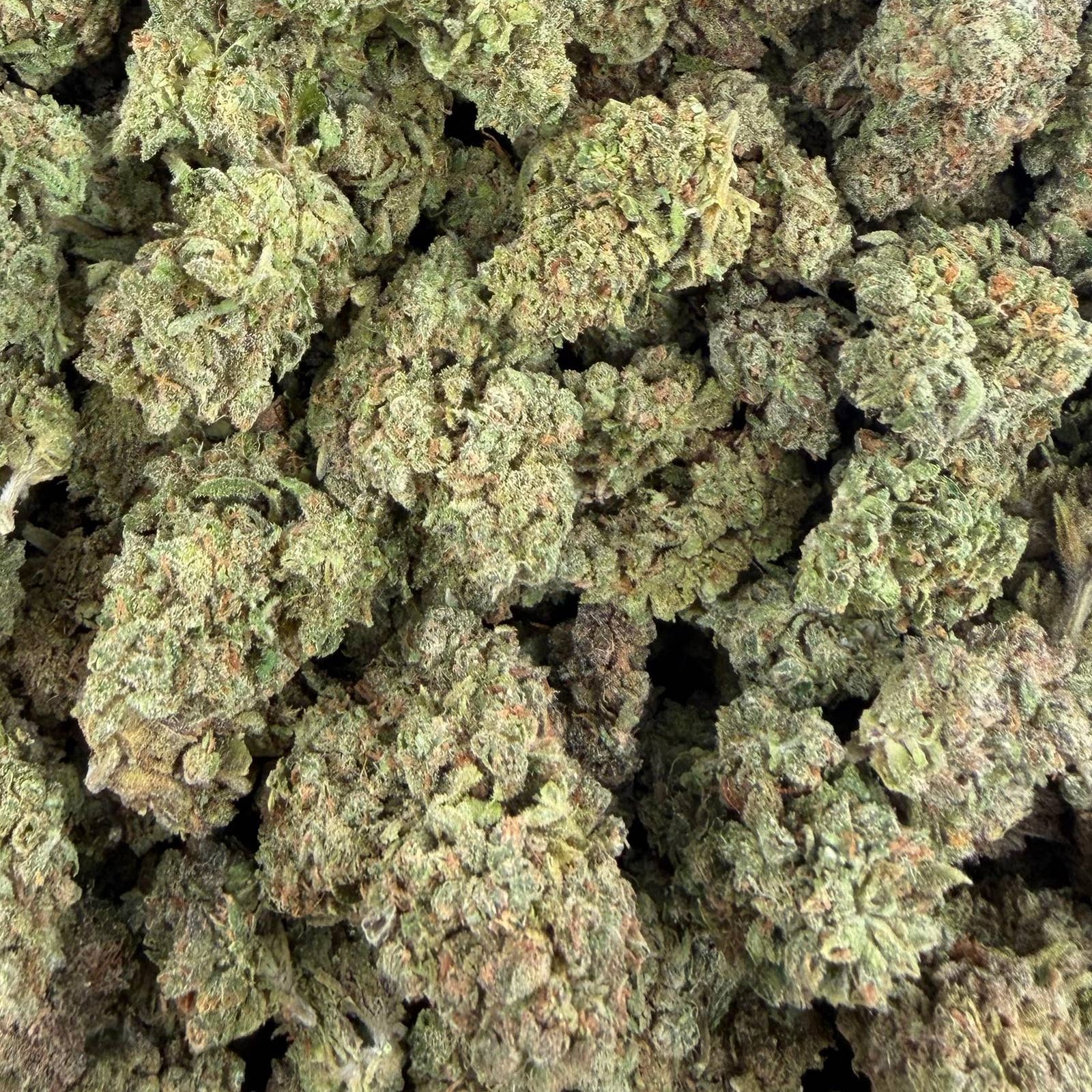 Guava Berries bulk THCA flower — Plain Jane 1 lb