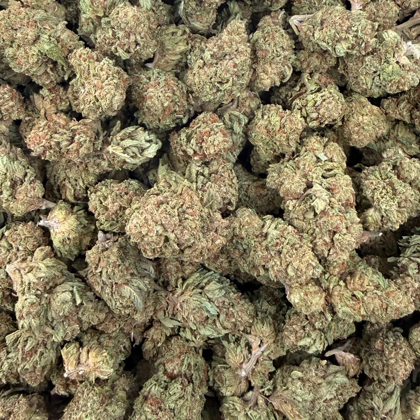 Guava Runtz bulk THCA flower — Plain Jane 1 lb