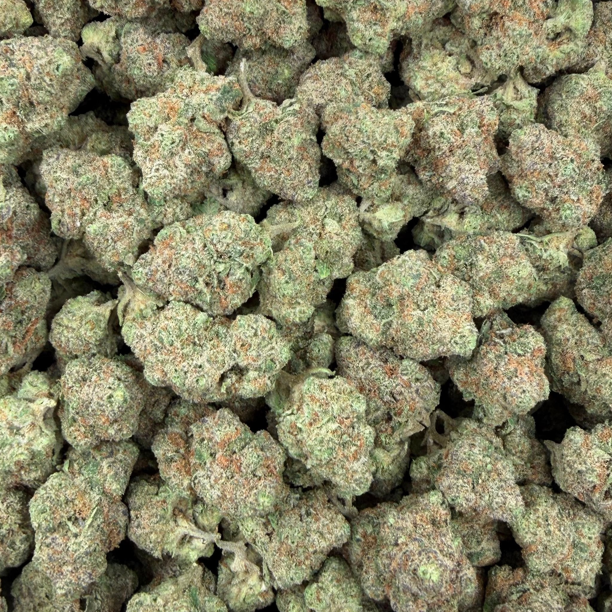 Guavaberries bulk THCA flower — Plain Jane 1 lb