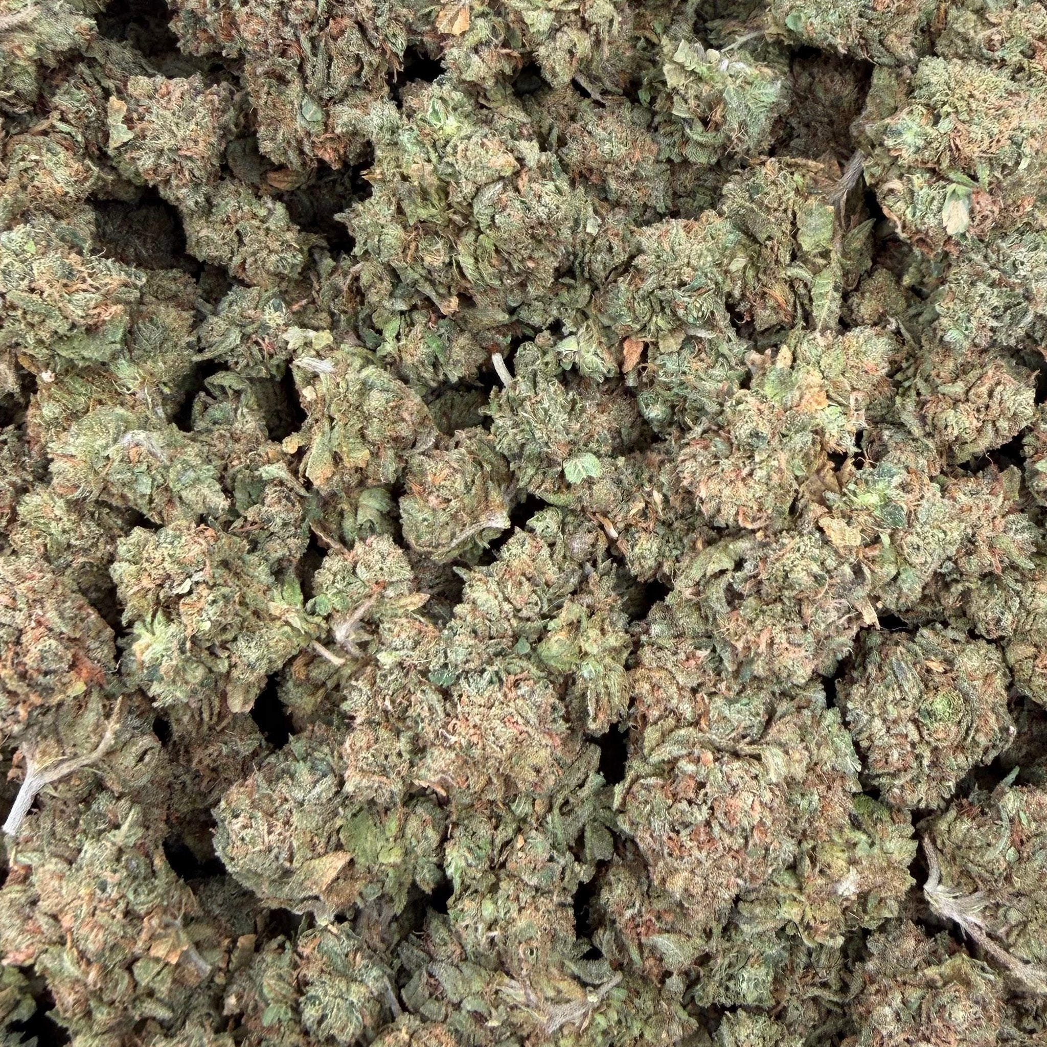 Guayaba bulk THCA flower — Plain Jane 1 lb