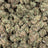 Guayaba bulk THCA flower — Plain Jane 1 lb