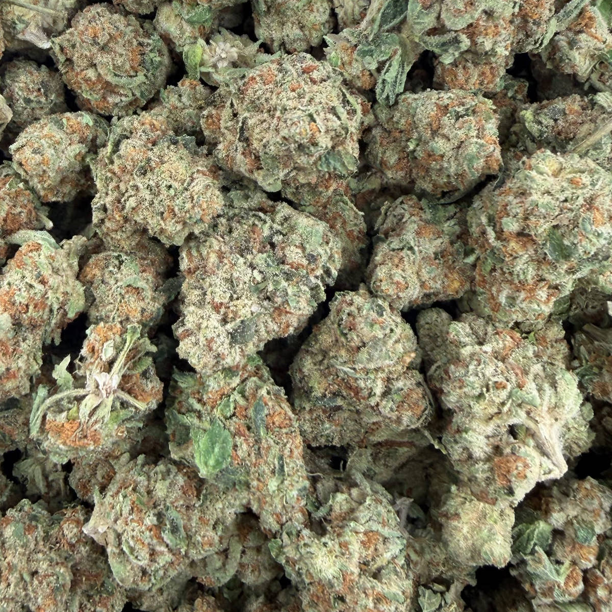 Guayaba bulk THCA flower — Plain Jane 1 lb