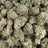 Guayaba bulk THCA flower — Plain Jane 1 lb