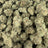 Gum Drops bulk THCA flower — Plain Jane 1 lb