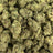 Gum Drops bulk THCA flower — Plain Jane 1 lb