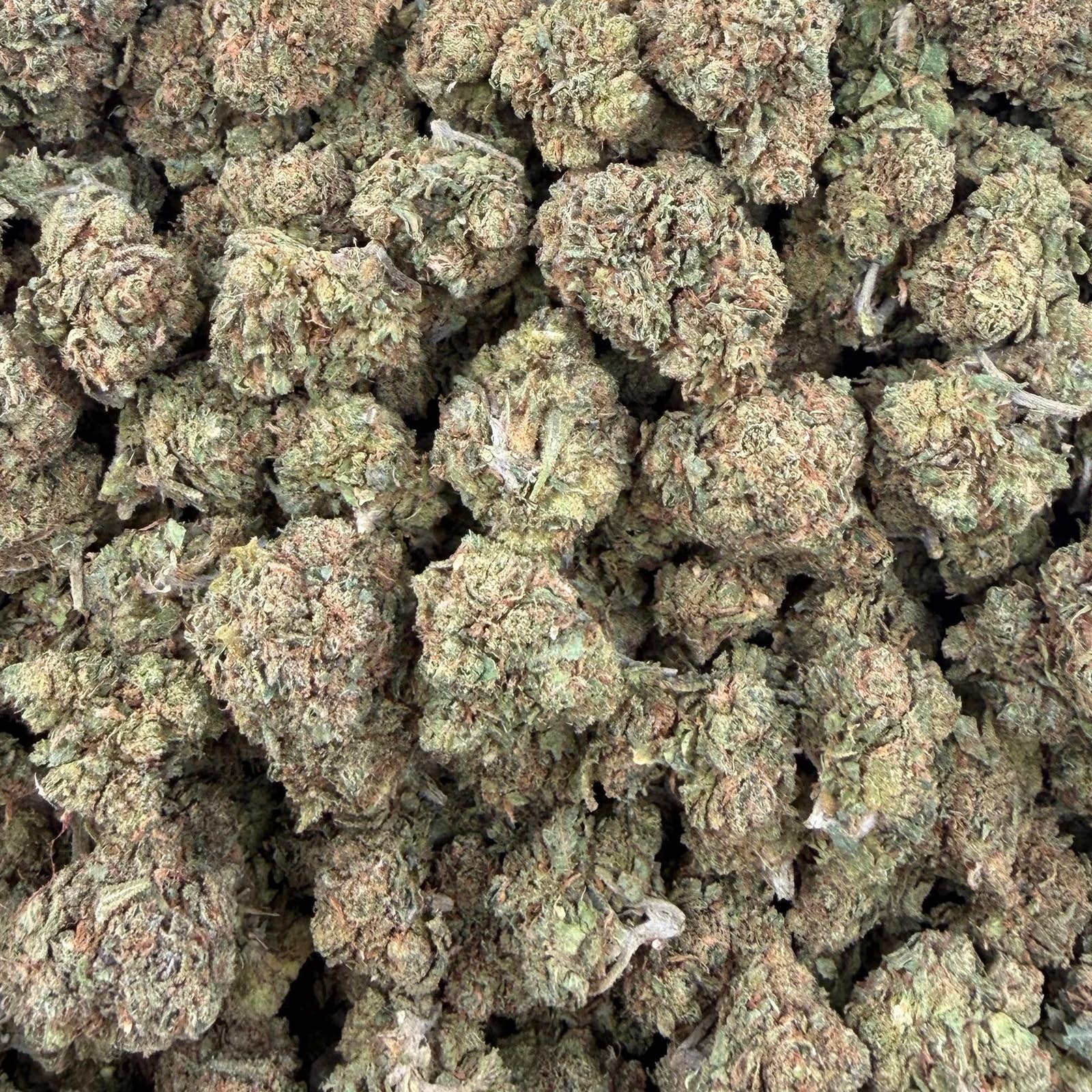 Gumbo bulk THCA flower — Plain Jane 1 lb
