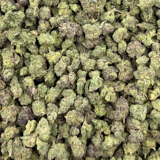 Gumbo (Indoor Smalls) – Bulk THCA Flower 1 lb
