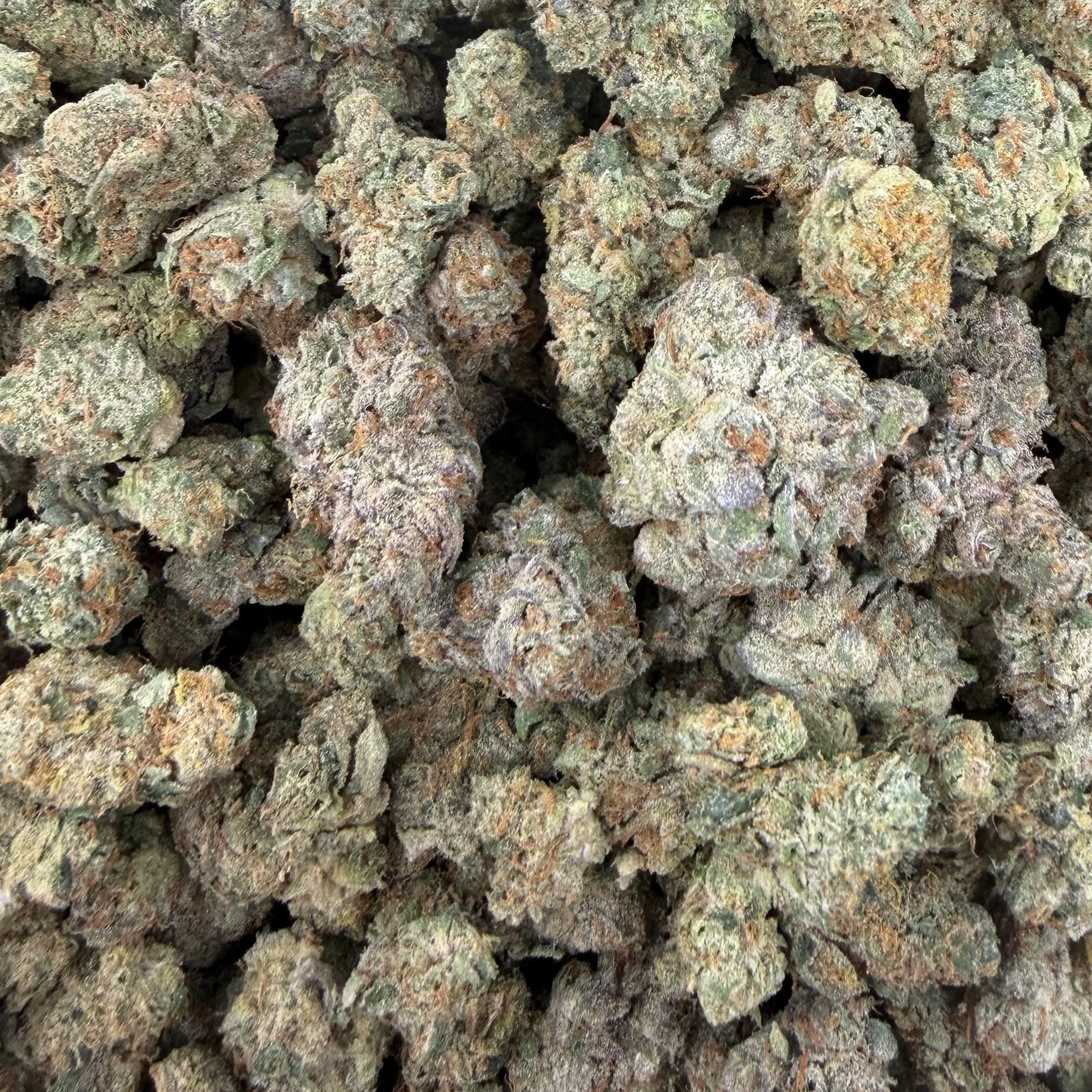 Gumbo bulk THCA flower — Plain Jane 1 lb