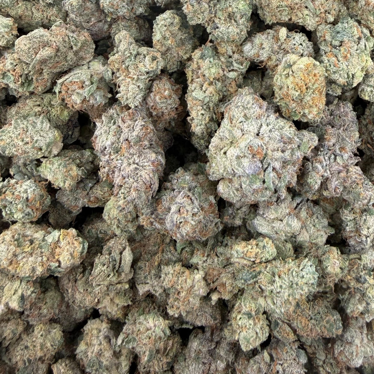 Gumbo bulk THCA flower — Plain Jane 1 lb