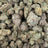 Gumbo bulk THCA flower — Plain Jane 1 lb