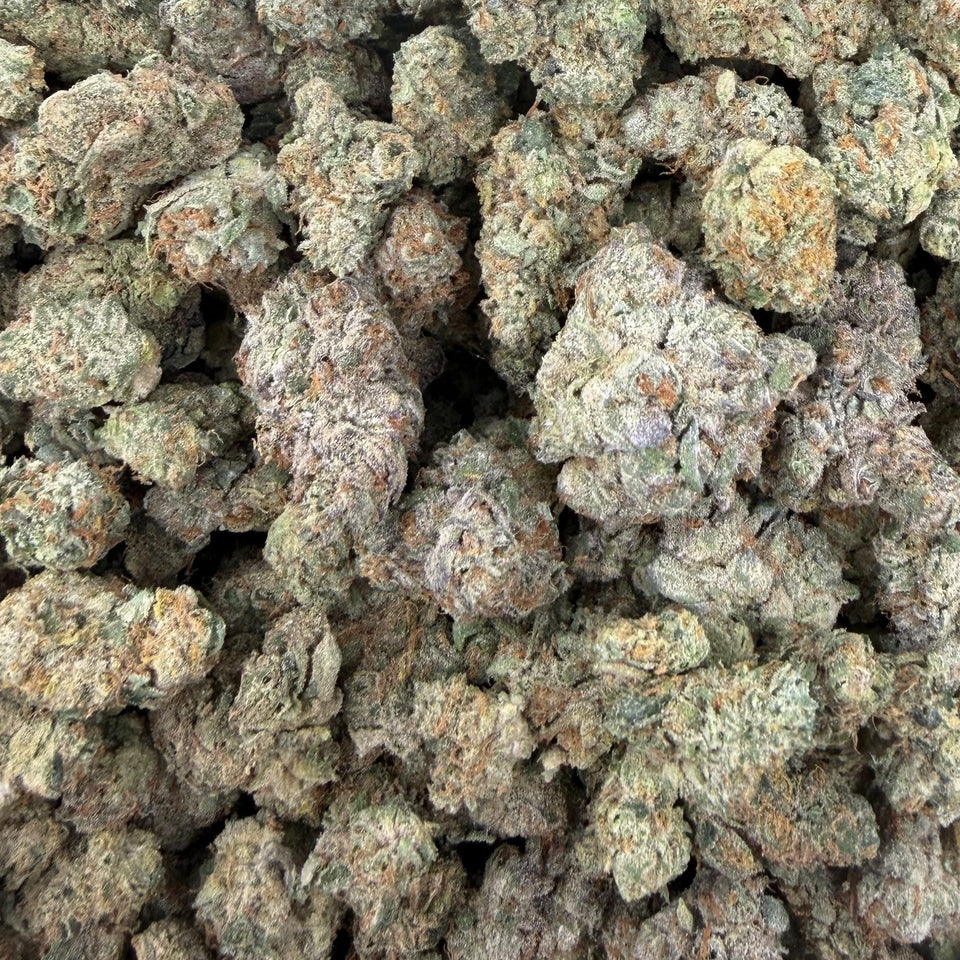 Gumbo (Value Indoor) – Bulk THCA Flower 1 lb