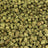 Gummie Bears bulk THCA flower — Plain Jane 1 lb