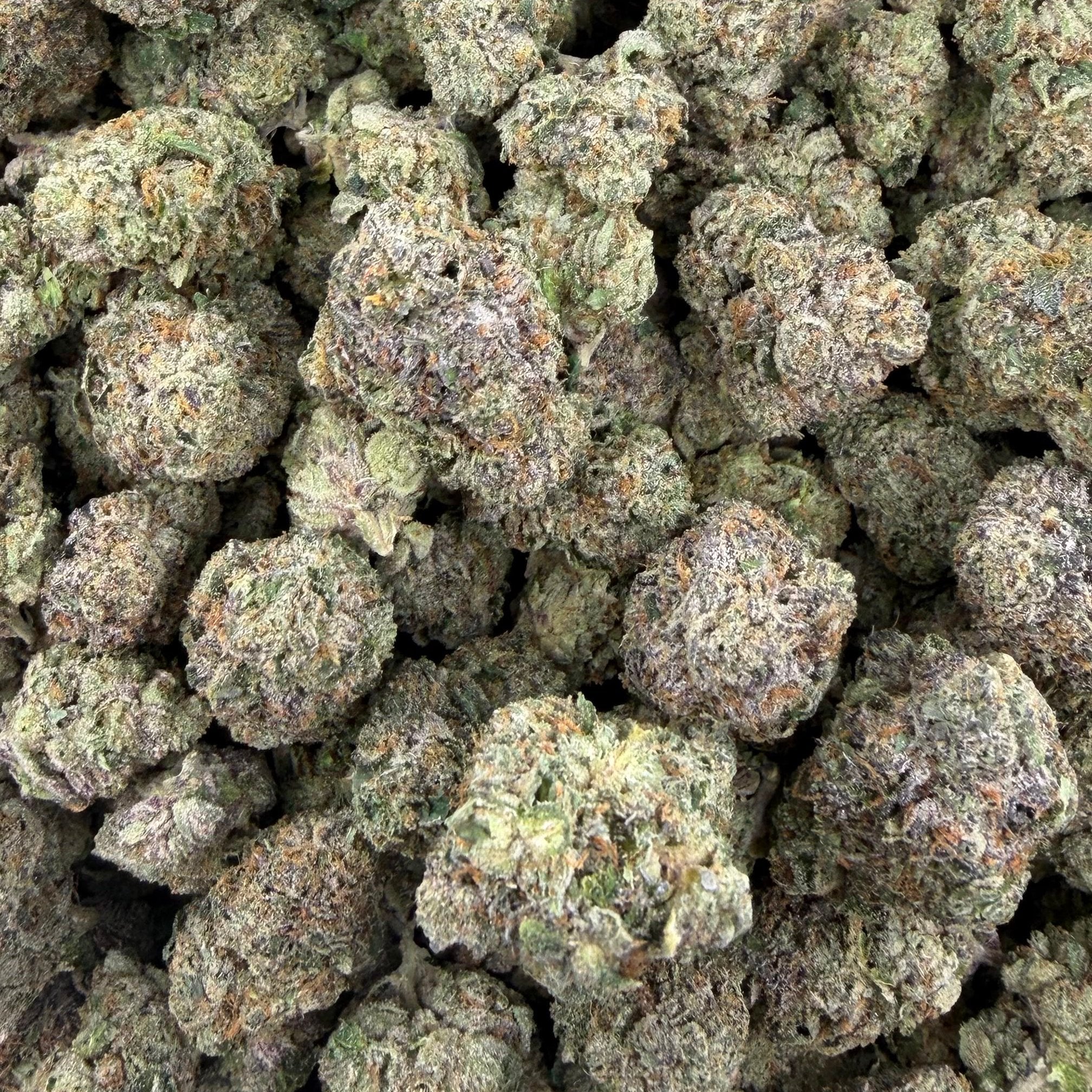 Gummie Bears bulk THCA flower — Plain Jane 1 lb