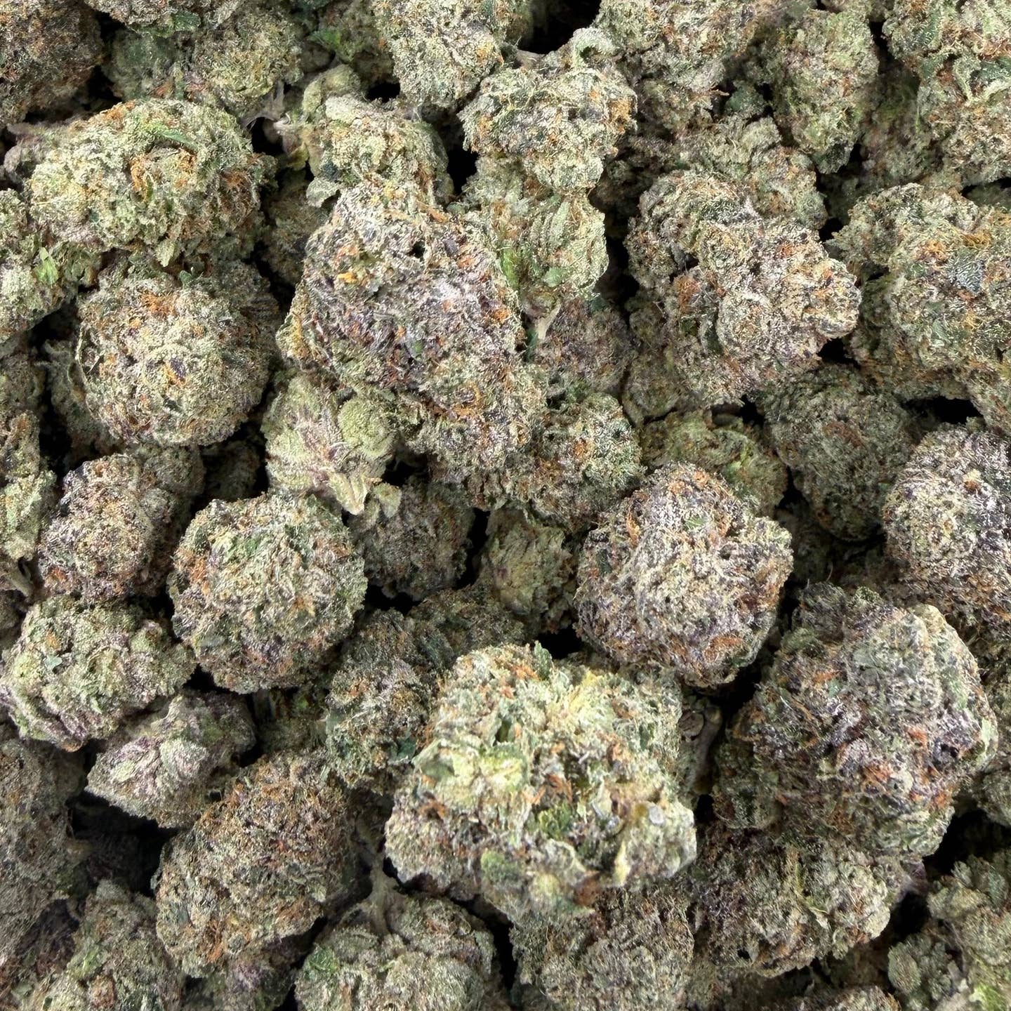 Gummie Bears bulk THCA flower — Plain Jane 1 lb