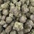 Gummie Bears bulk THCA flower — Plain Jane 1 lb