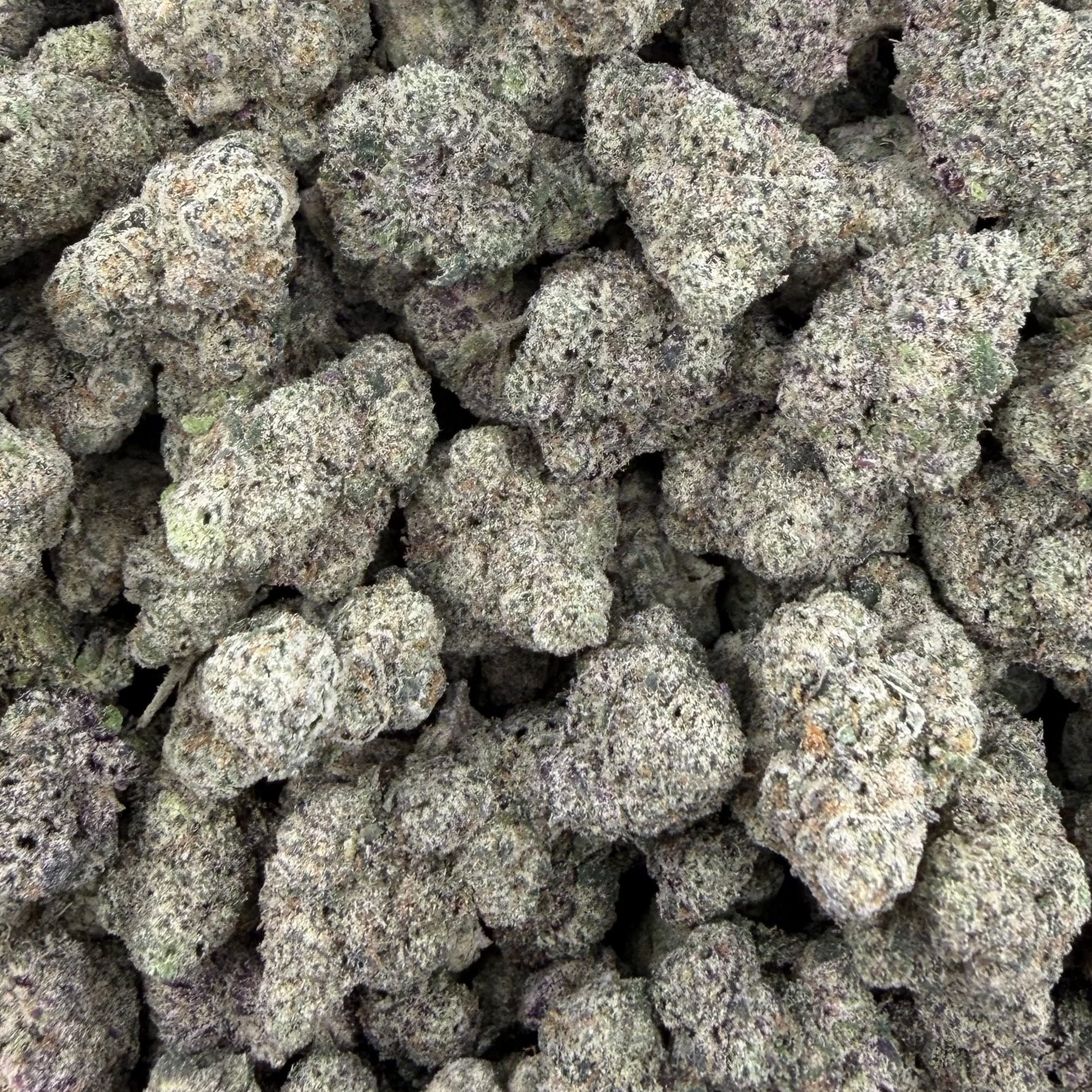 Gummie Bears bulk THCA flower — Plain Jane 1 lb